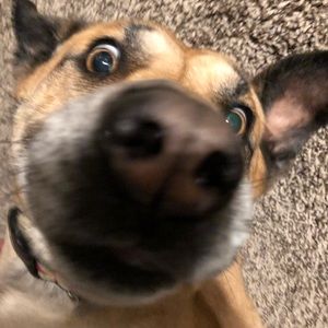 Meet your Posher, Emerson